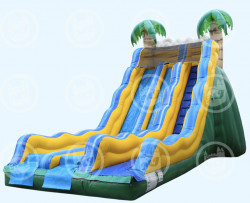 20 Tropical Wave Dual Slide - Dry